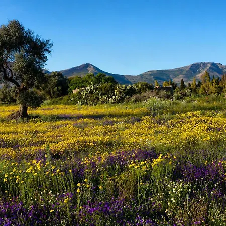 Ferienhaus Meerblick Und Sonnenuntergänge La Ciaccia Valledoria (Sardinia)